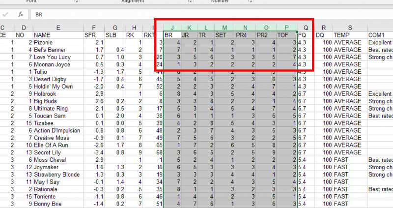 Horse Racing Excel Data Tutorial